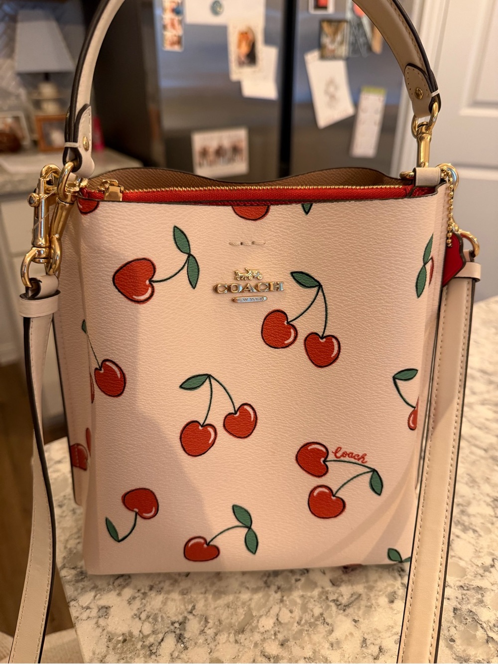 Coach Pink Cherry Print Leather Crossbody Bucket Bag